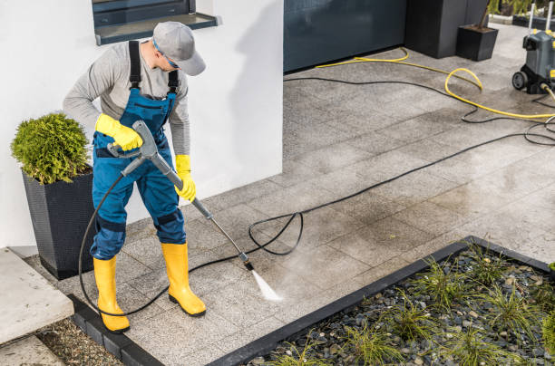 Best Exterior Home Cleaning  in Lebanon, IL